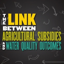 The Link Between Agricultural Subsidies and Water Quality Outcomes