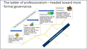 Figure 1 (click graphic to view enlarged image). The "Ladder of Professionalism." Source: Pinion, LLC.