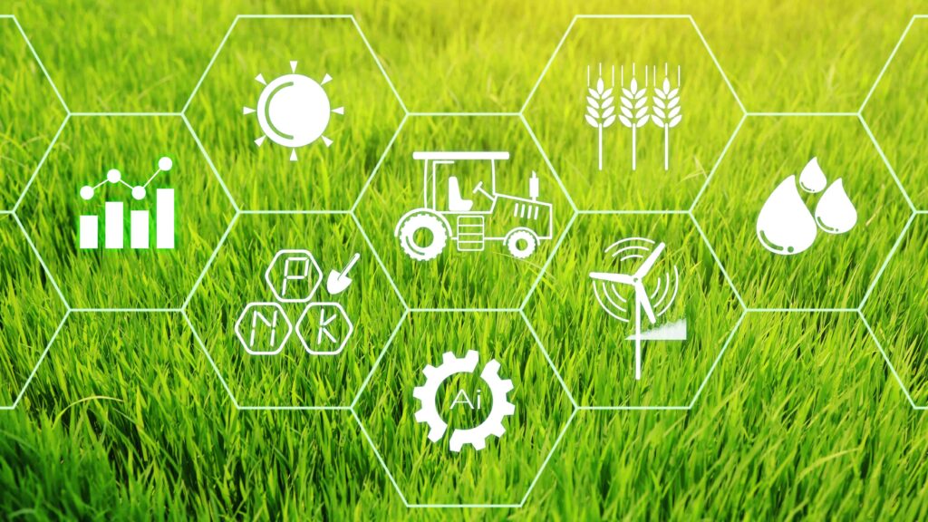 Rice field planted in the morning sun and high-yielding smart farm technology input icons, cost reduction and care with IoT. watering harvesting fertilizer revenue.