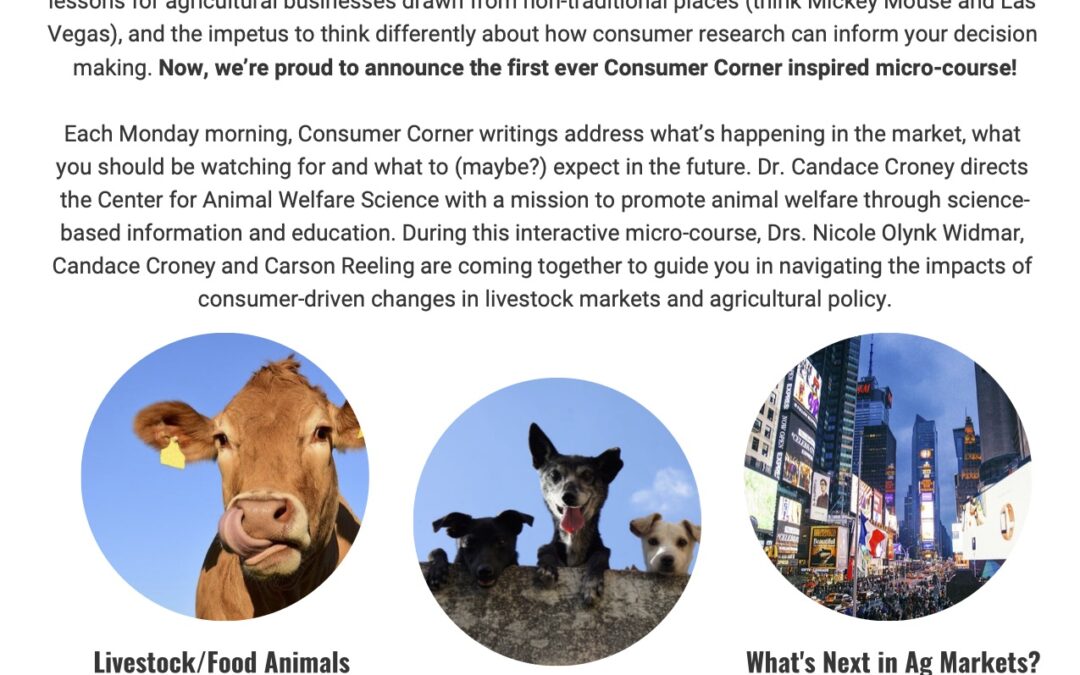 Consumer-Driven Changes in Ag Market Channels
