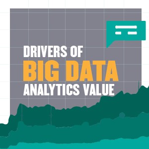 Drivers of Big Data Analytics Value