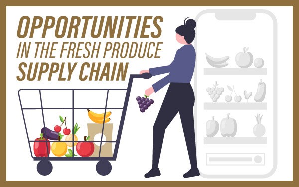 Opportunities in the Fresh Produce Supply Chain