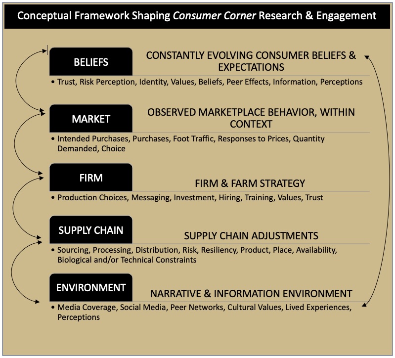 Conceptual framework shaping Consumer Corner research and engagement