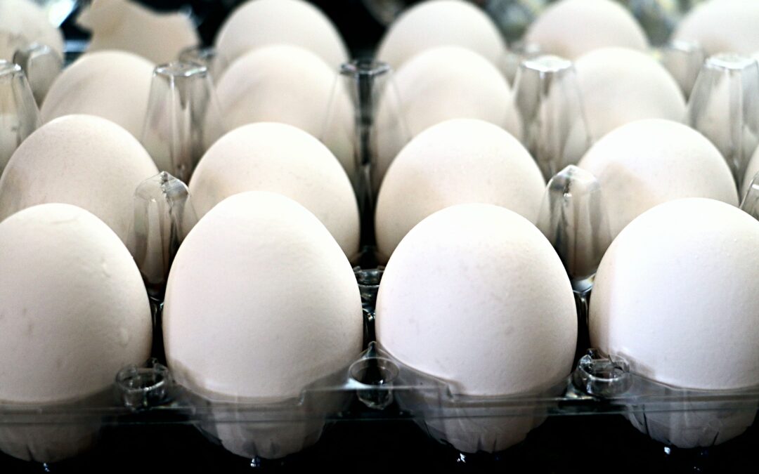 Egg Prices and Supporting Consumer Decision Making with Big Data