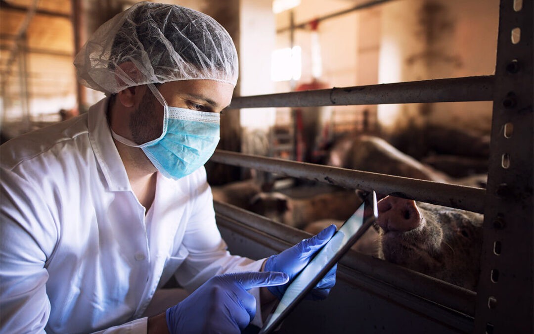 ‘Big Data’ in Animal Industries: Scale is Challenging, But Use is Wicked