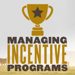 Managing Incentive Programs Trophy