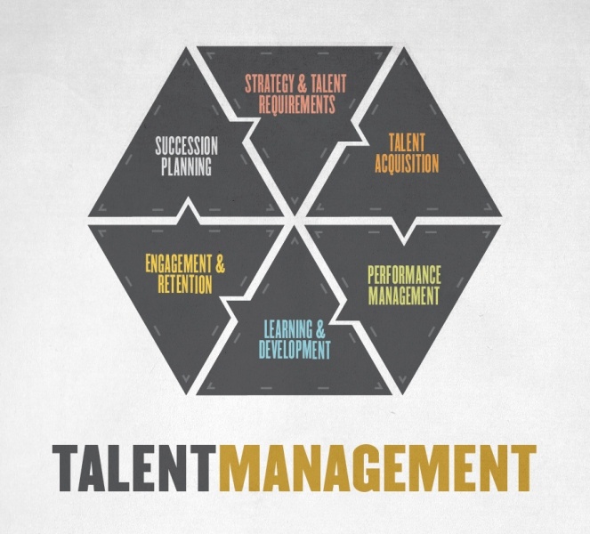 Connecting Talent from First-Level to C-Suite