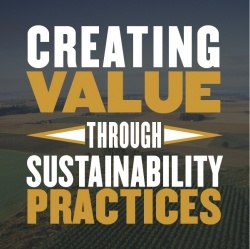 Creating Value Through Sustainability Practices