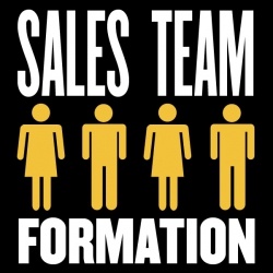 sales team formation