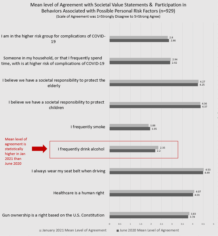 Mean level of agreement with societal value statements and participation in behaviors associated with possible personal risk factors