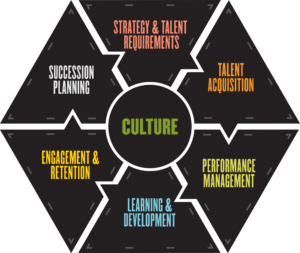 talent management themes